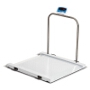 Avery Weigh-Tronix / Brecknell MS-1000 Bariatric / Handrail Scale
